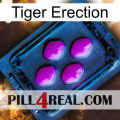 Tiger Erection 04